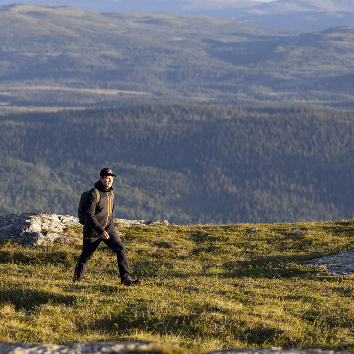 Pinewood guide – gör dig redo för en dag i naturen