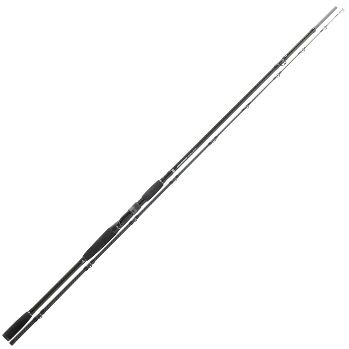 BFT Ninety Two Big Fish Classic 8,6' 170g 2pc Casting