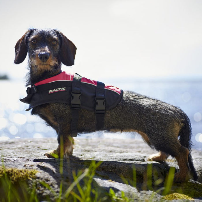Baltic Mascot Hundflytväst Svart/Rosa
