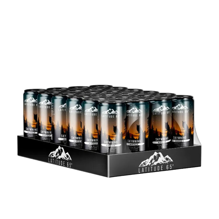 Latitude 65 Energidryck Flak (330ml x 24st)