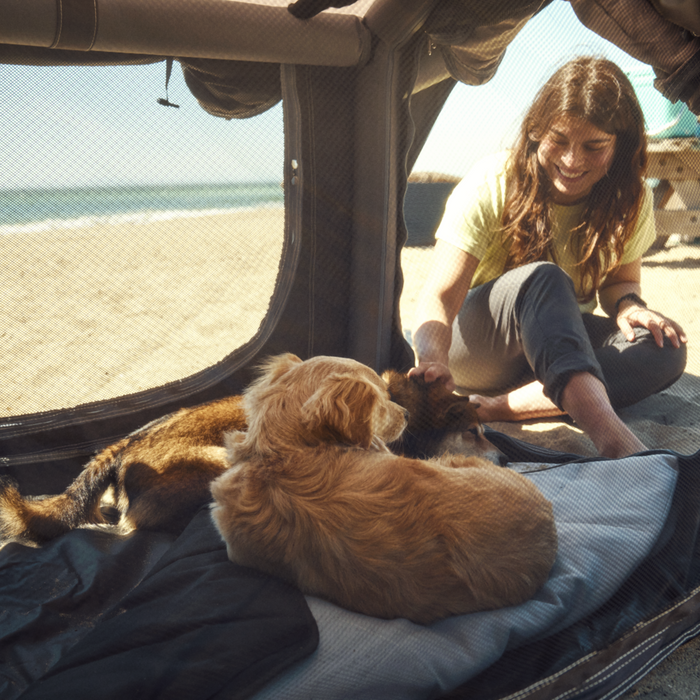 Dometic K9 80 AIR