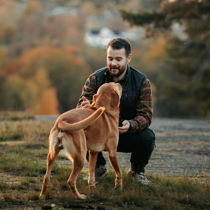 Pinewood Wool Insulated Midlayer Vest Black